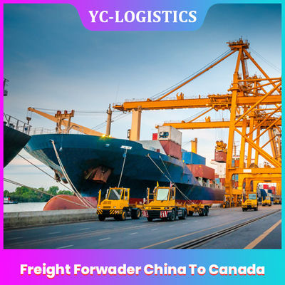 FOB EXW من الصين إلى كندا وكيل الشحن من Shenzhen إلى جميع أنحاء العالم ، خدمات الشحن البحري DDU
