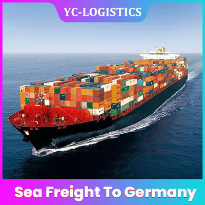 CIF DDU DDP FOB EXW Sea Logistics Companies من 6 إلى 8 أيام عمل