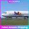 DDU DDP FedEx Amazon يشحن من الصين إلى أوروبا التوصيل اليومي