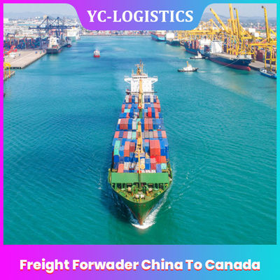 EXW DDU Freight Forwarder الصين إلى كندا 24 ساعة خدمة التحصيل عبر الإنترنت