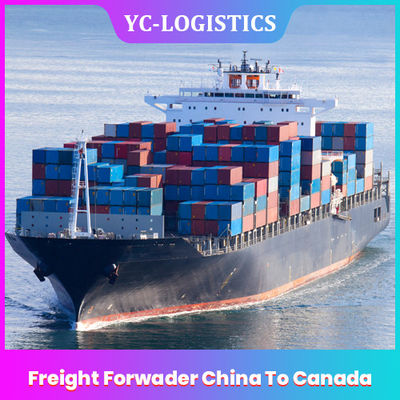 من 3 إلى 17 يومًا DDP DDU وكيل الشحن من الصين إلى كندا ، وكيل شحن Shenzhen Amazon FBA