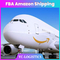 الشحن الجوي الدولي الرخيص FBA خدمة وكيل الشحن من الصين